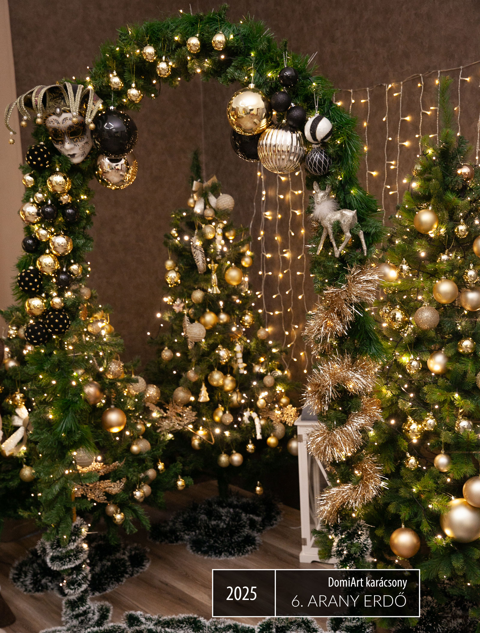 2024 karácsonyi fotózás - sparkle stílus 2024 karácsonyi fotózás háttér debrecen sparkle art