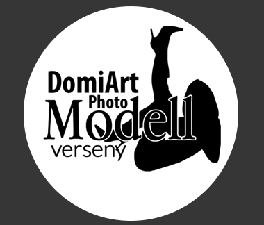 domiart-modell-logo